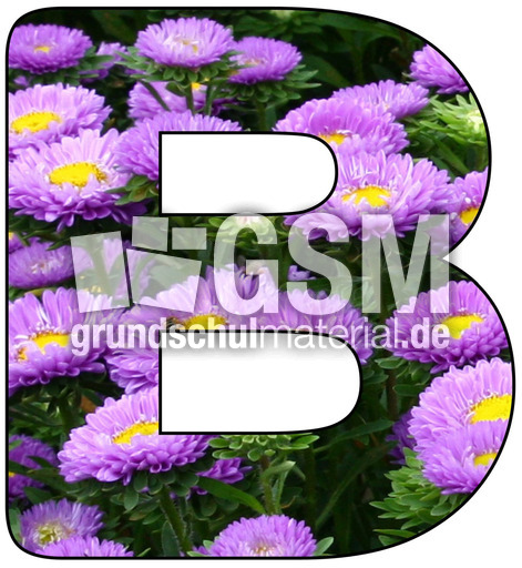 Deko-Buchstaben-Blumen_B.jpg